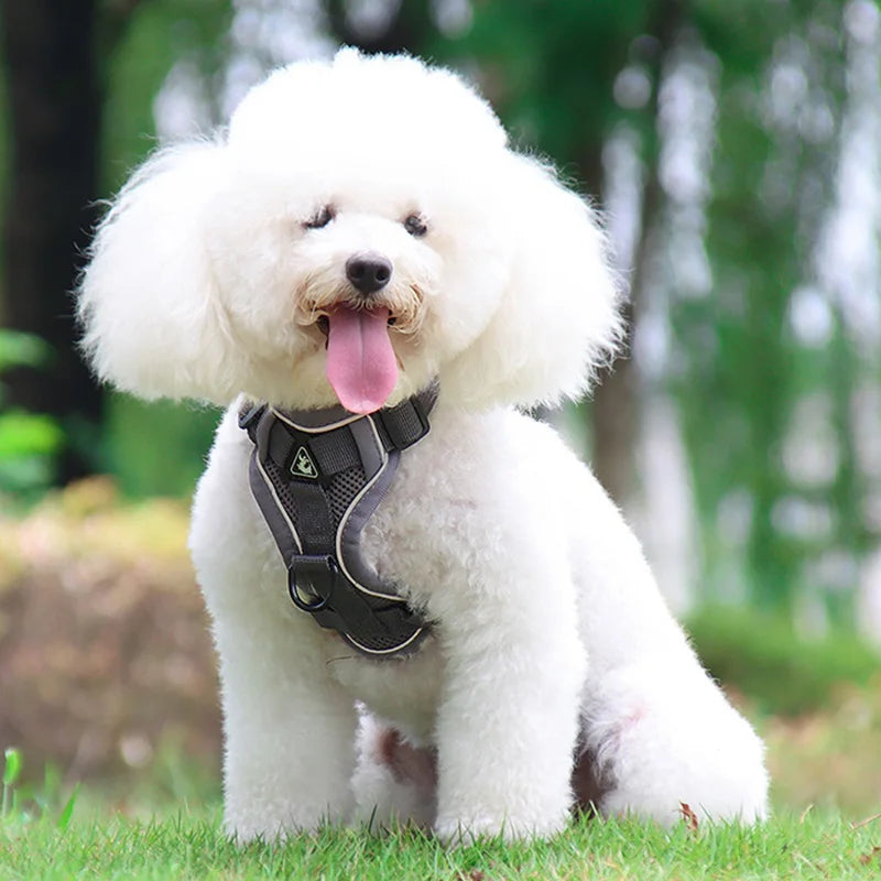 Arnés Reflectante con Correa para Perros Pequeños y Medianos