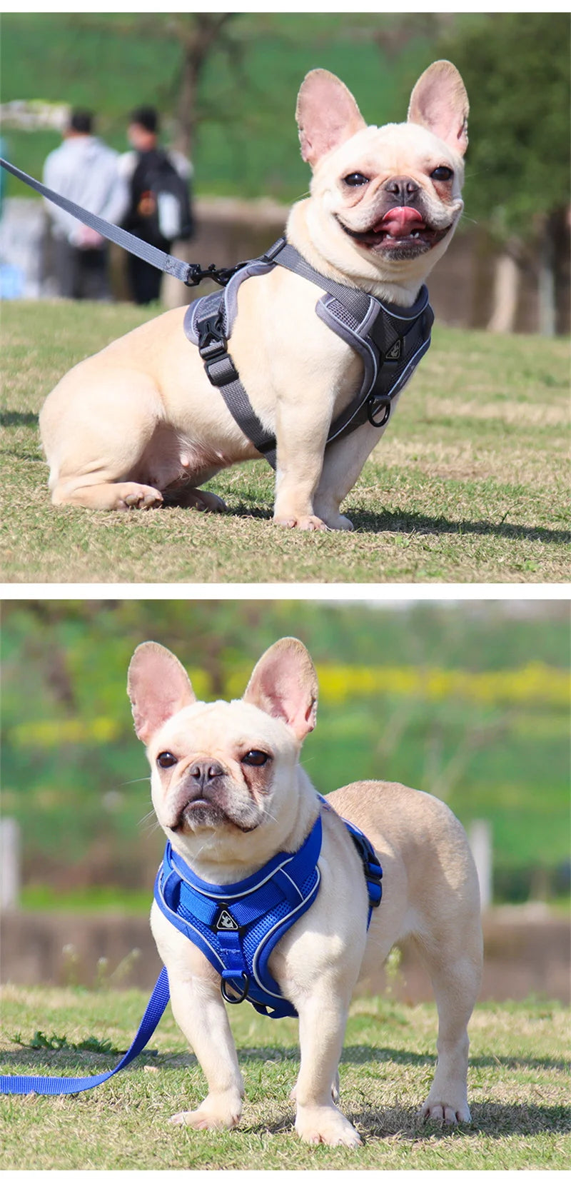 Arnés Reflectante con Correa para Perros Pequeños y Medianos