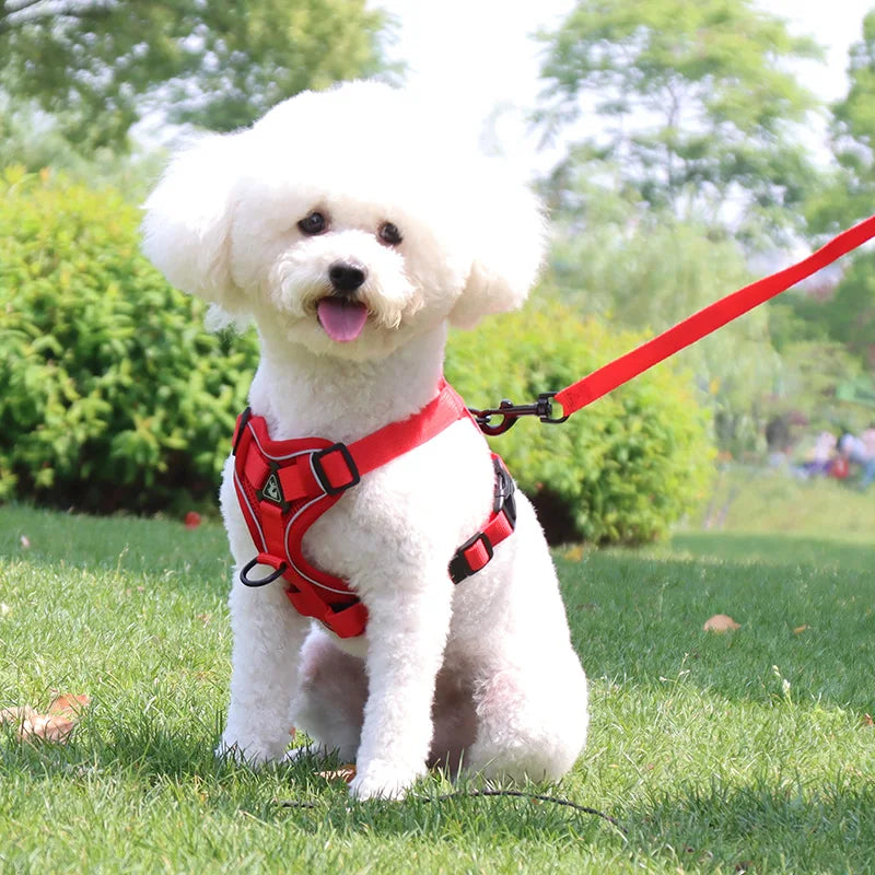 Arnés Reflectante con Correa para Perros Pequeños y Medianos