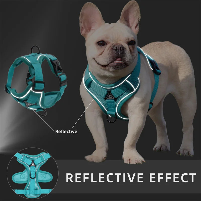 Arnés Reflectante con Correa para Perros Pequeños y Medianos