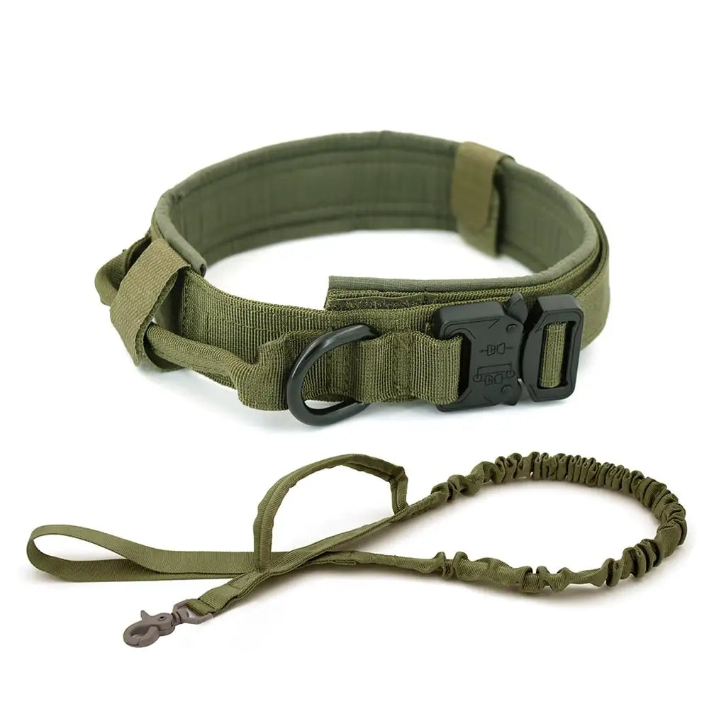 Collar para Perros
