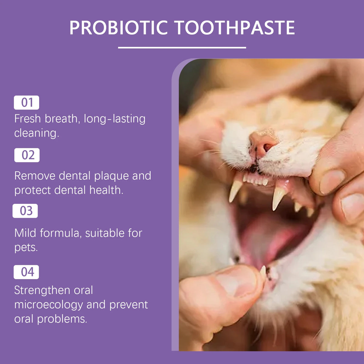Pasta Dental Probiótica para Perros y Gatos con Coco 100g