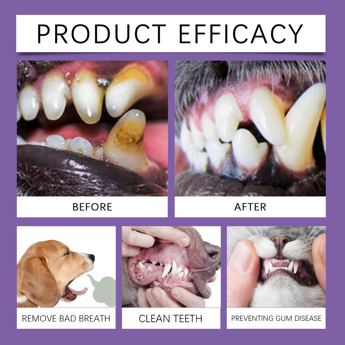 Pasta Dental Probiótica para Perros y Gatos con Coco 100g