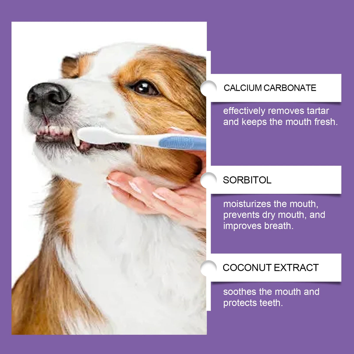 Pasta Dental Probiótica para Perros y Gatos con Coco 100g