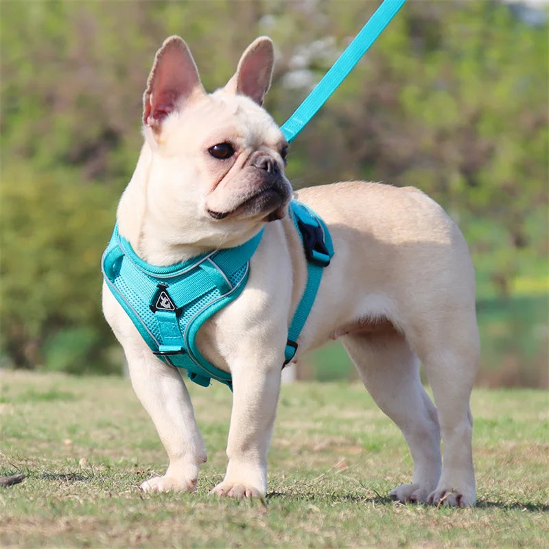 Arnés Reflectante con Correa para Perros Pequeños y Medianos