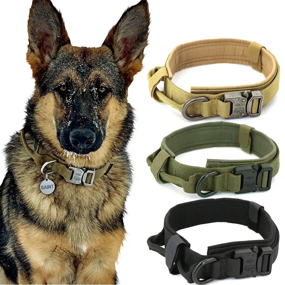 Collar para Perros