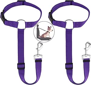 Cinturón de Seguridad para Perros con Sujeción al Reposacabezas