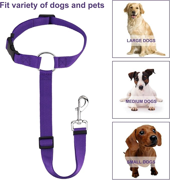 Cinturón de Seguridad para Perros con Sujeción al Reposacabezas
