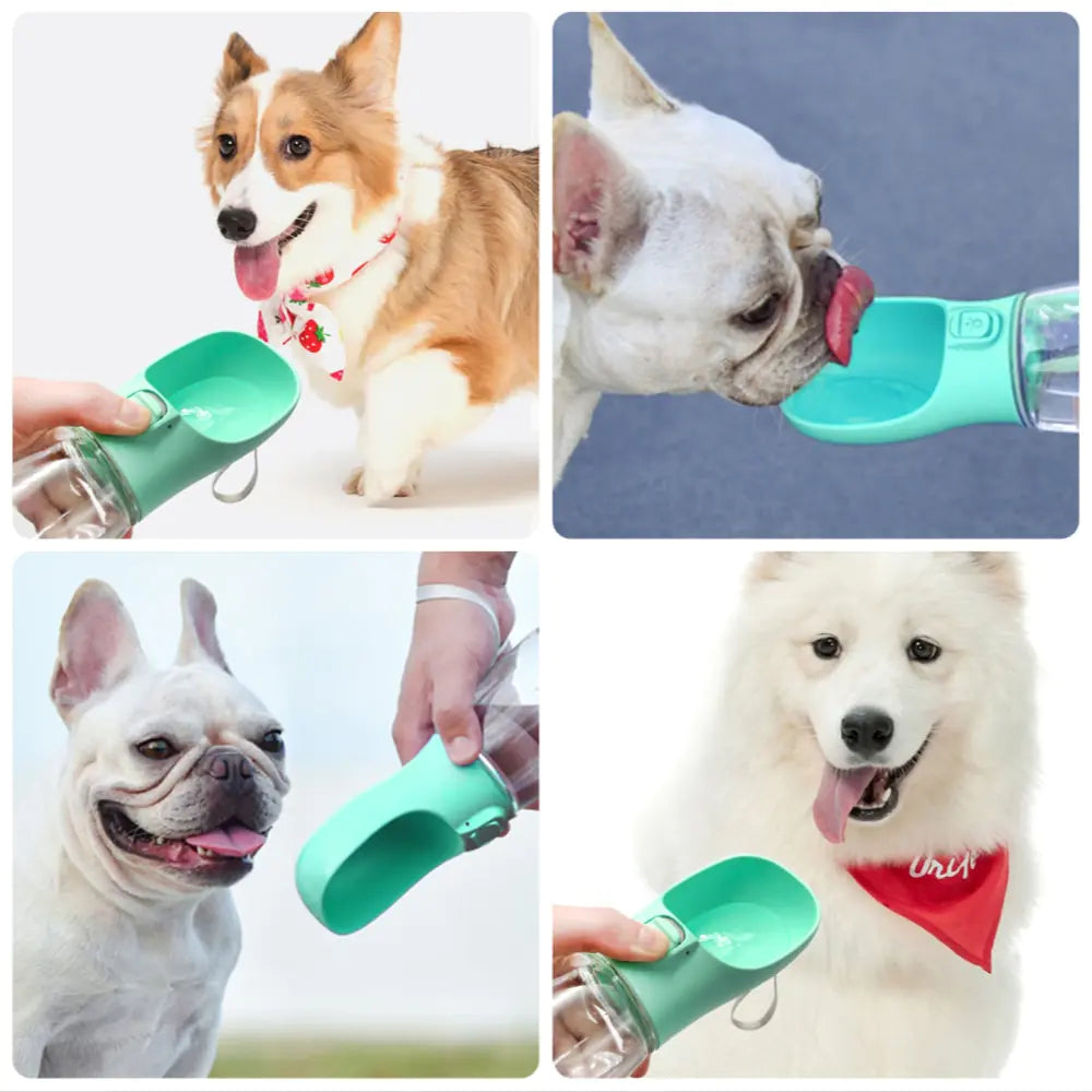 Botella Bebedera para Perros