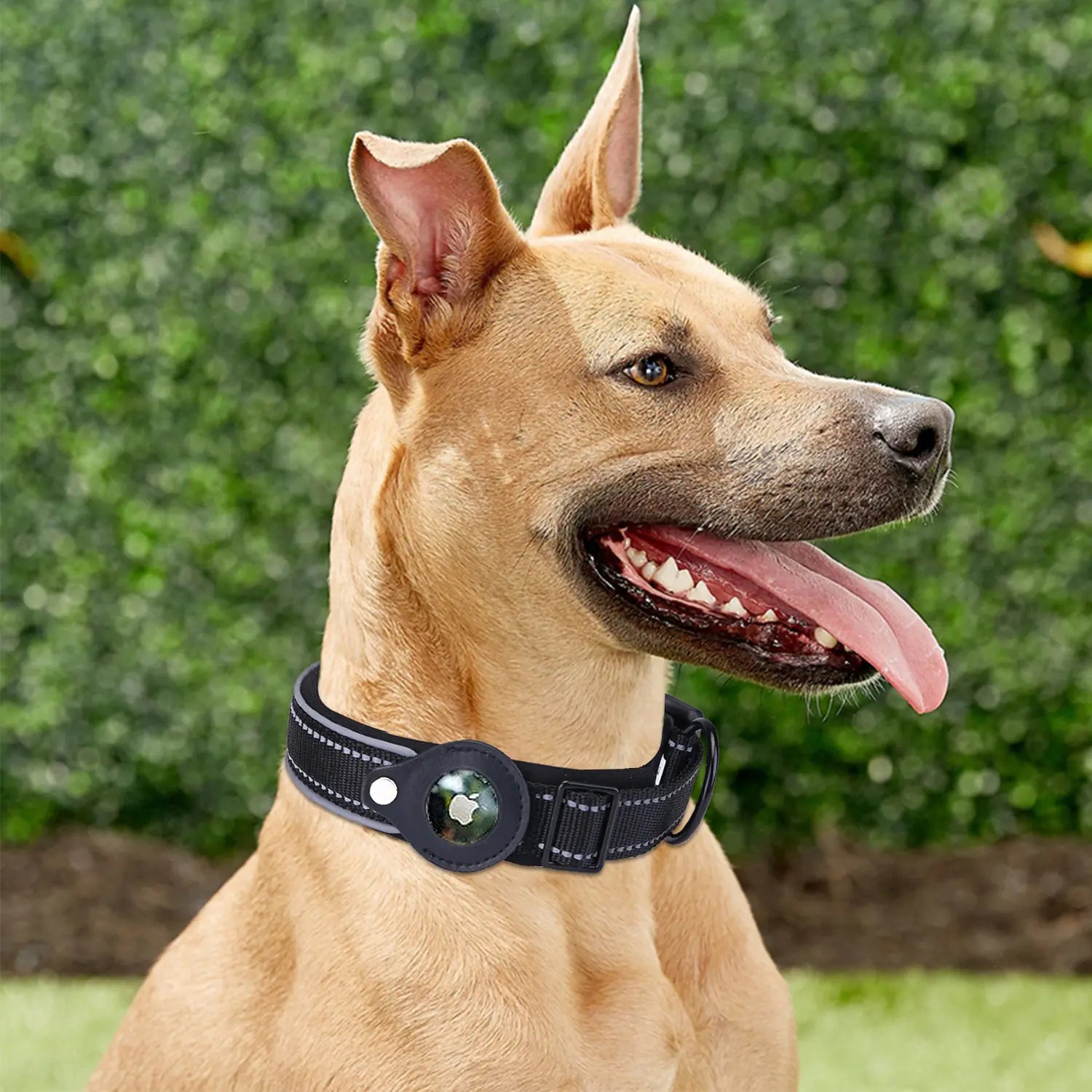 Collar para Perro Compatible con AirTag